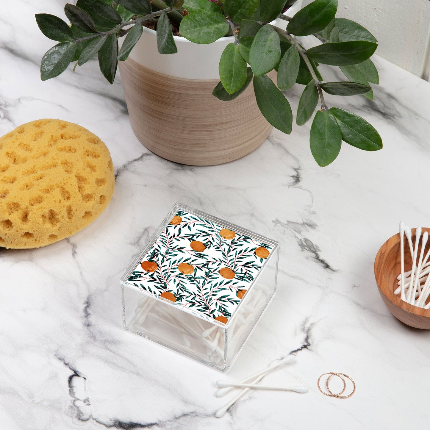 83 Oranges Mandarins Acrylic Box