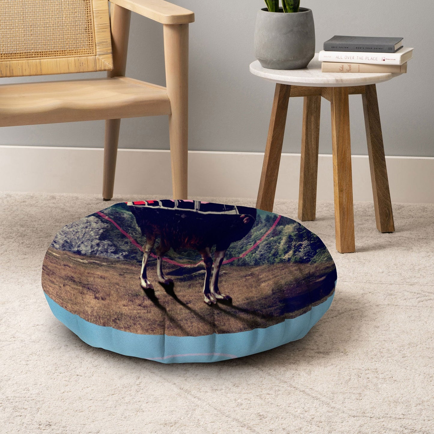 Ali Gulec Llama Van Floor Pillow Round