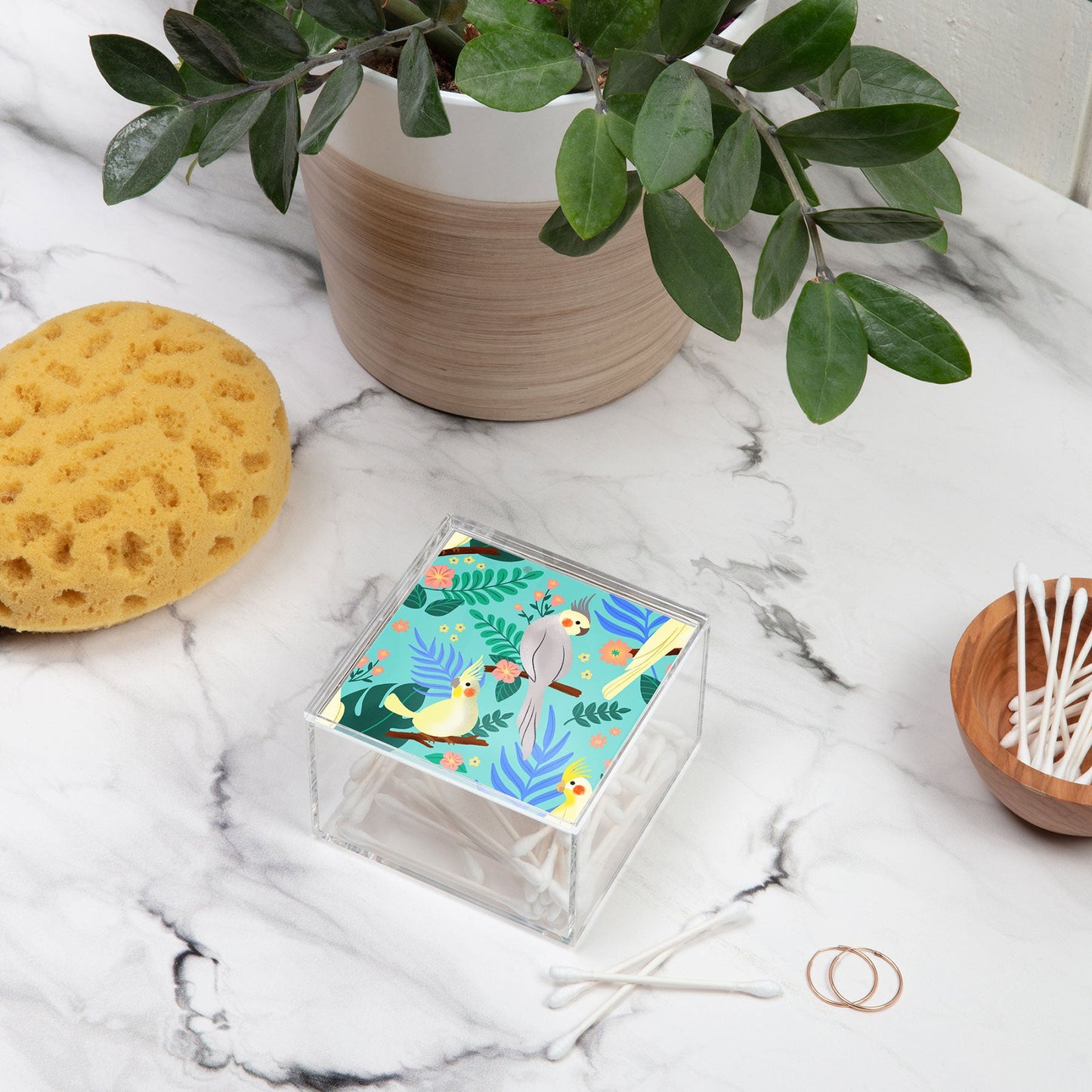 Design by Spark Cockatiel Beauty Acrylic Box