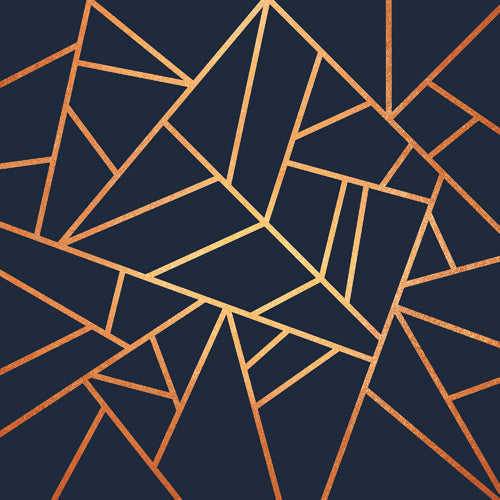 Elisabeth Fredriksson Copper And Midnight Navy Geo Shower Curtain