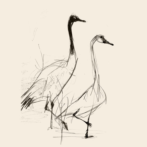 Nadja Two Geese Minimalist Drawing Shower Curtain