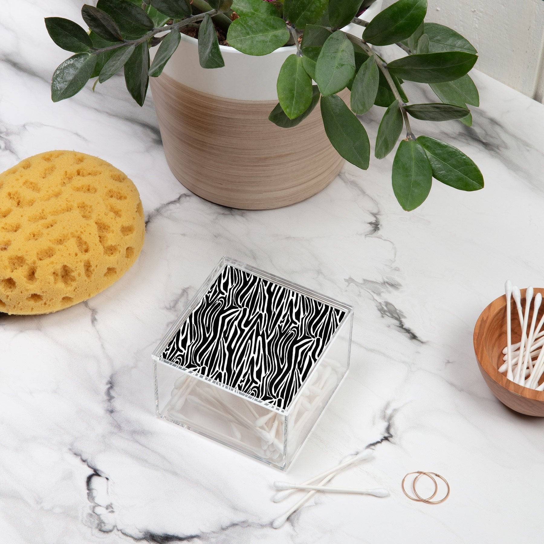 Jennifer Labre Wild Zebra Acrylic Box