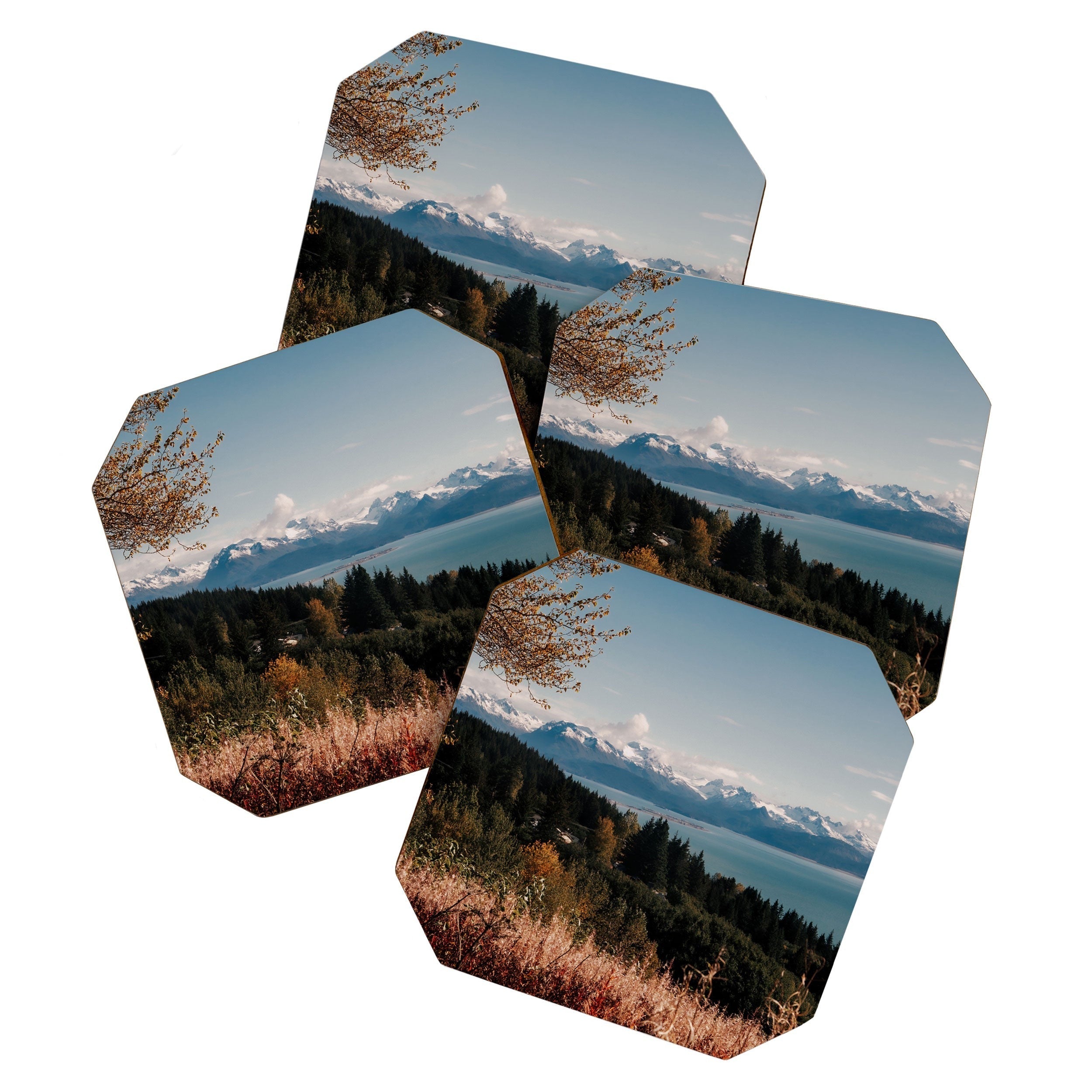 Hannah Kemp Homer Coaster Set