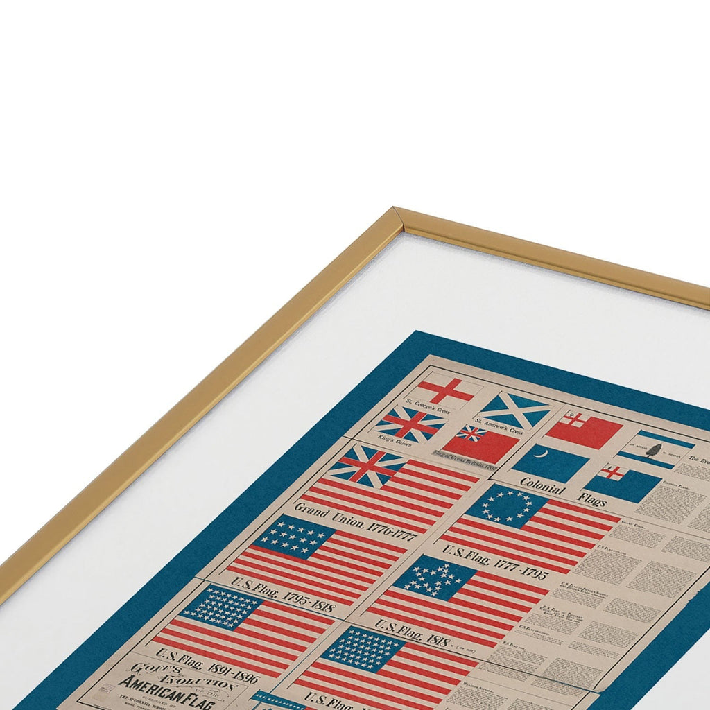 DENY Designs Goff s Evolution of the American Flag Metal Framed Art Print