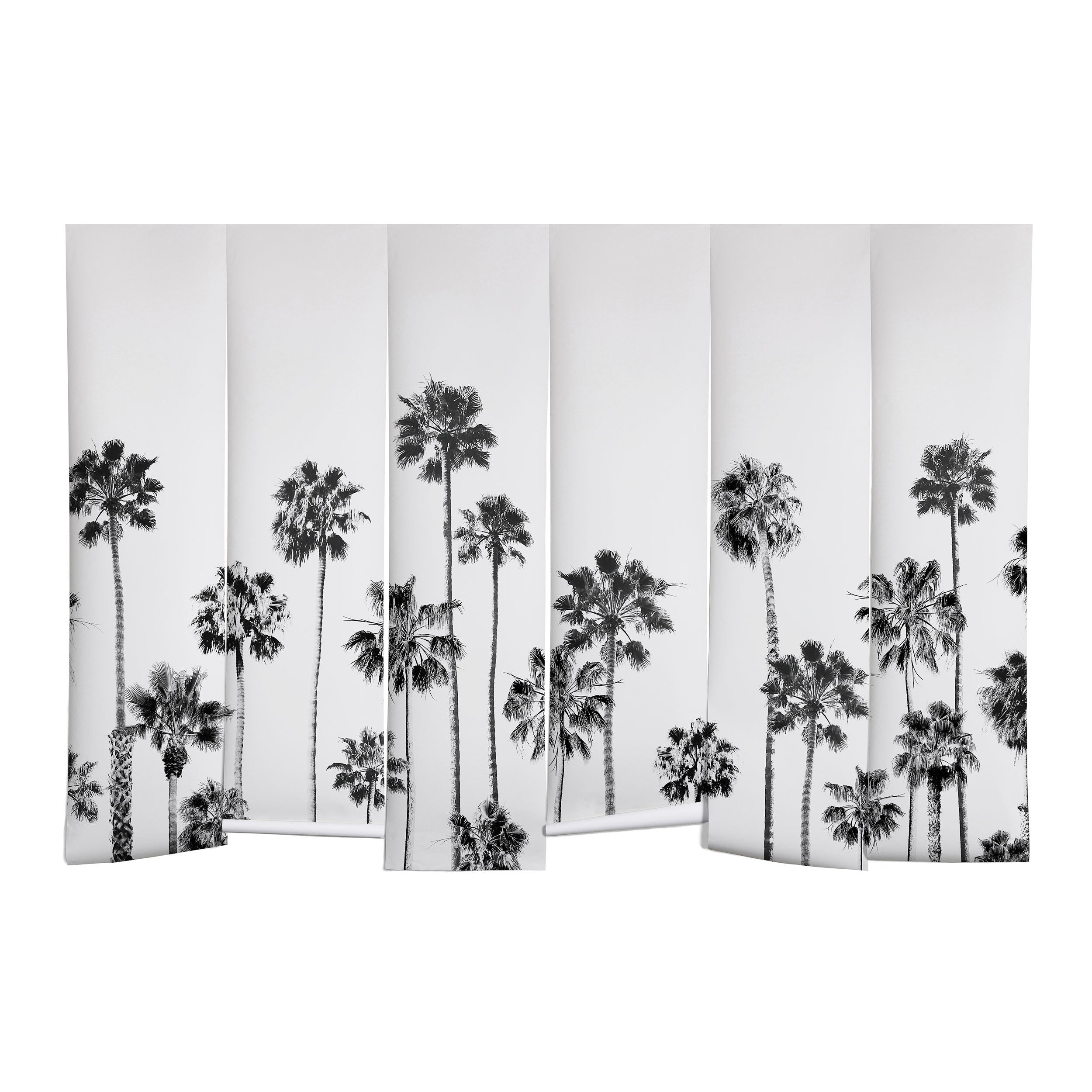 Gal Design Black And White Palms Wall Mural
