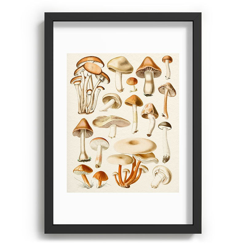 Gal Design Mushrooms Collection Recessed Framing Rectangle