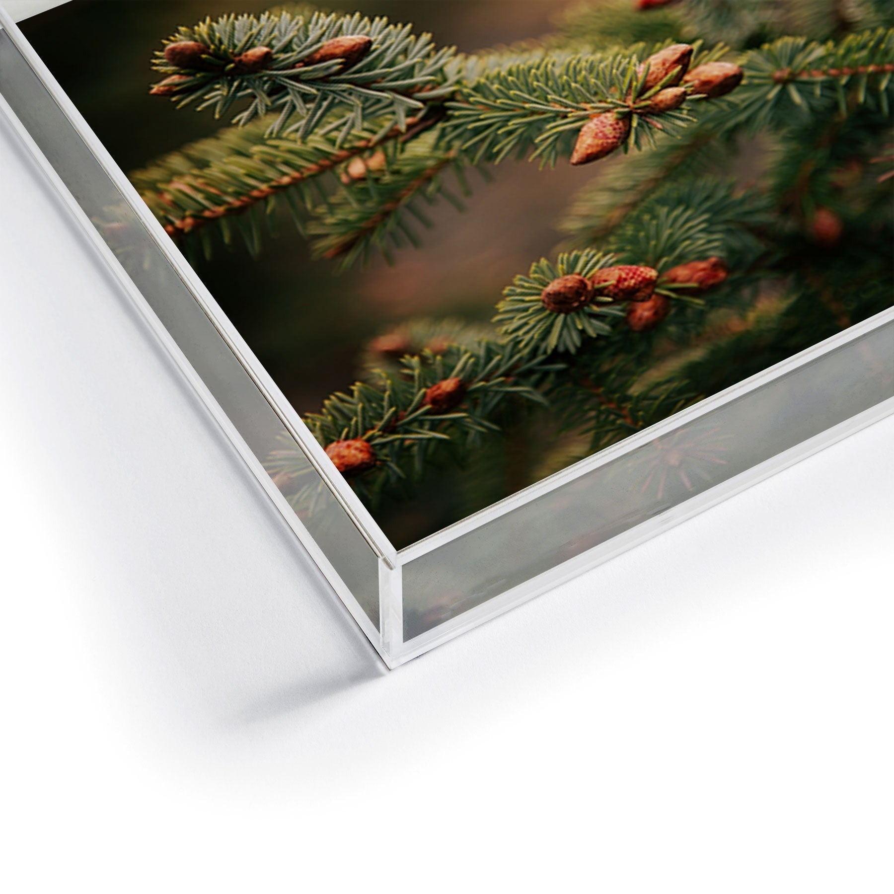 Hannah Kemp Spruce Tips Acrylic Tray