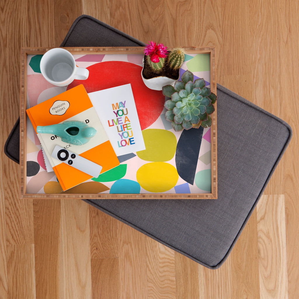 Garima Dhawan Colored Toys 4 Rectangular Tray