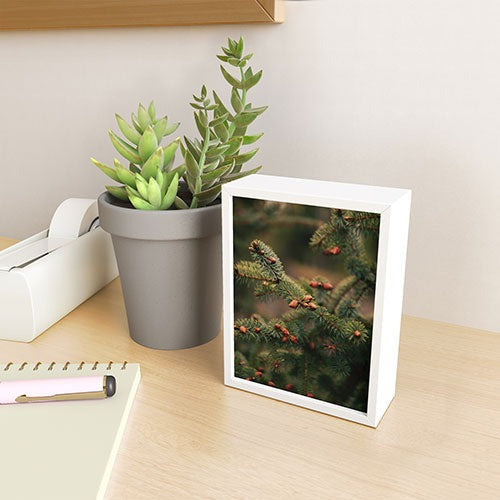 Hannah Kemp Spruce Tips Framed Mini Art Print