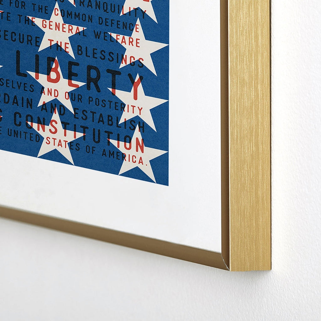 DENY Designs Starred Preamble Metal Framed Art Print