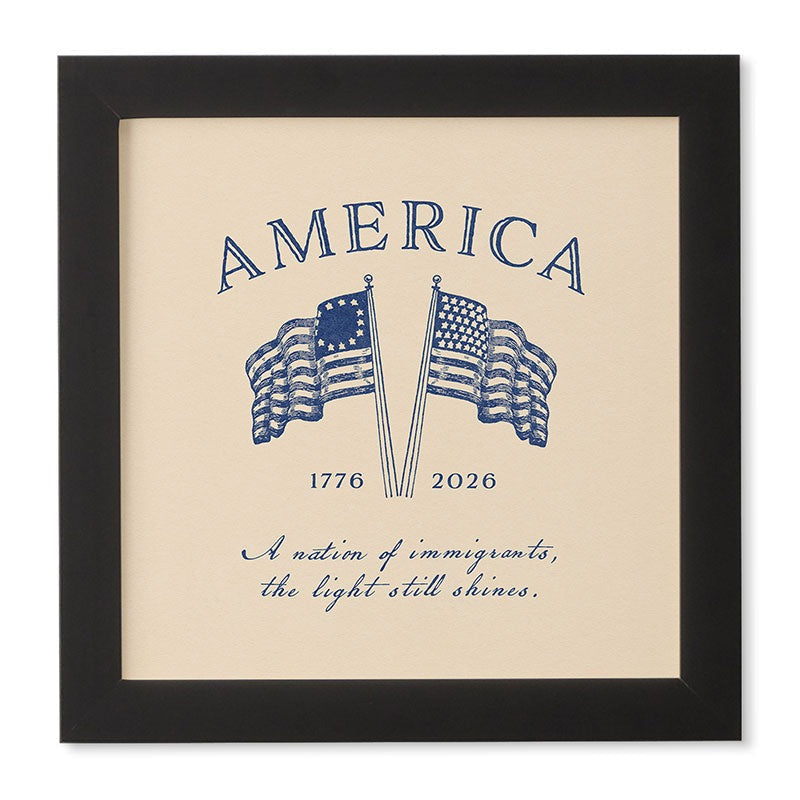 DENY Designs America250 Framed Wall Art