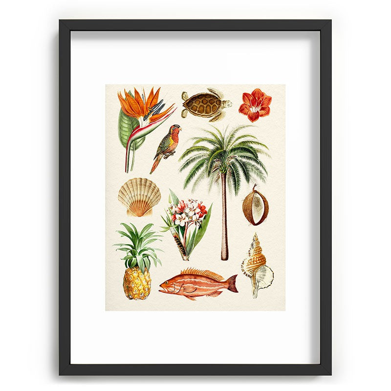 Gal Design Hawaii Collection Recessed Framing Rectangle