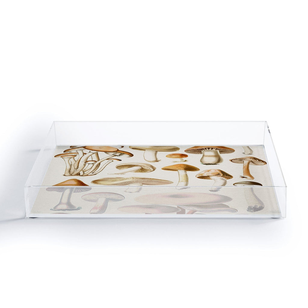 Gal Design Mushrooms Collection Acrylic Tray