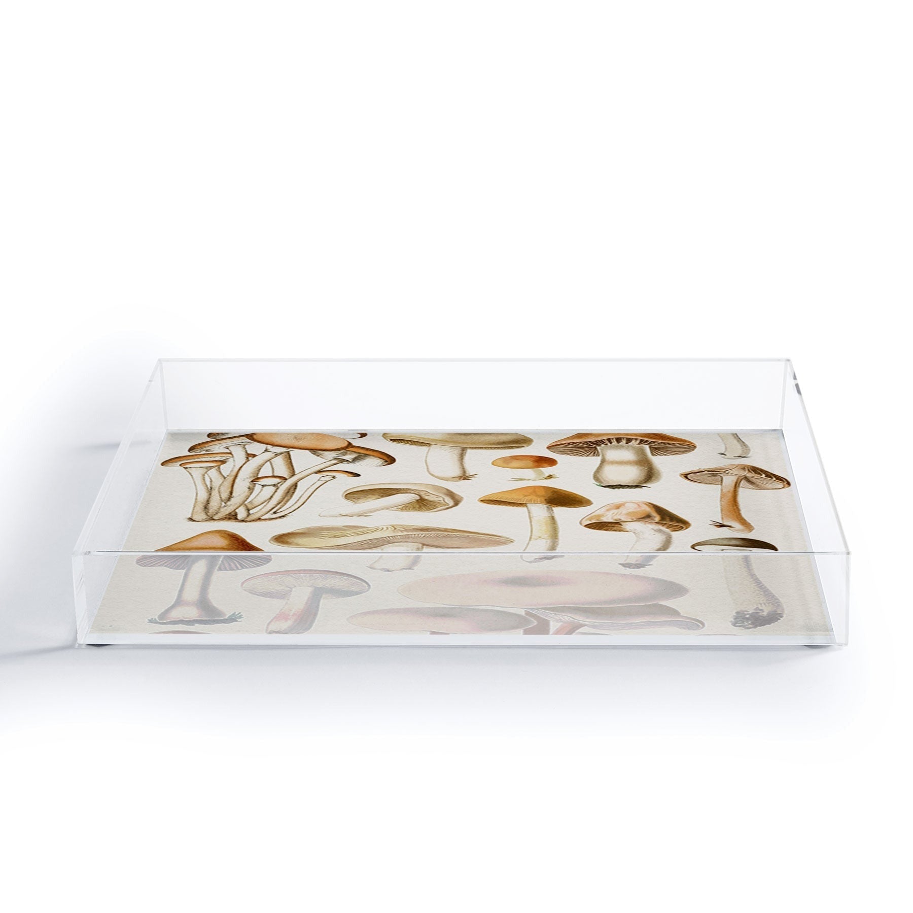 Gal Design Mushrooms Collection Acrylic Tray