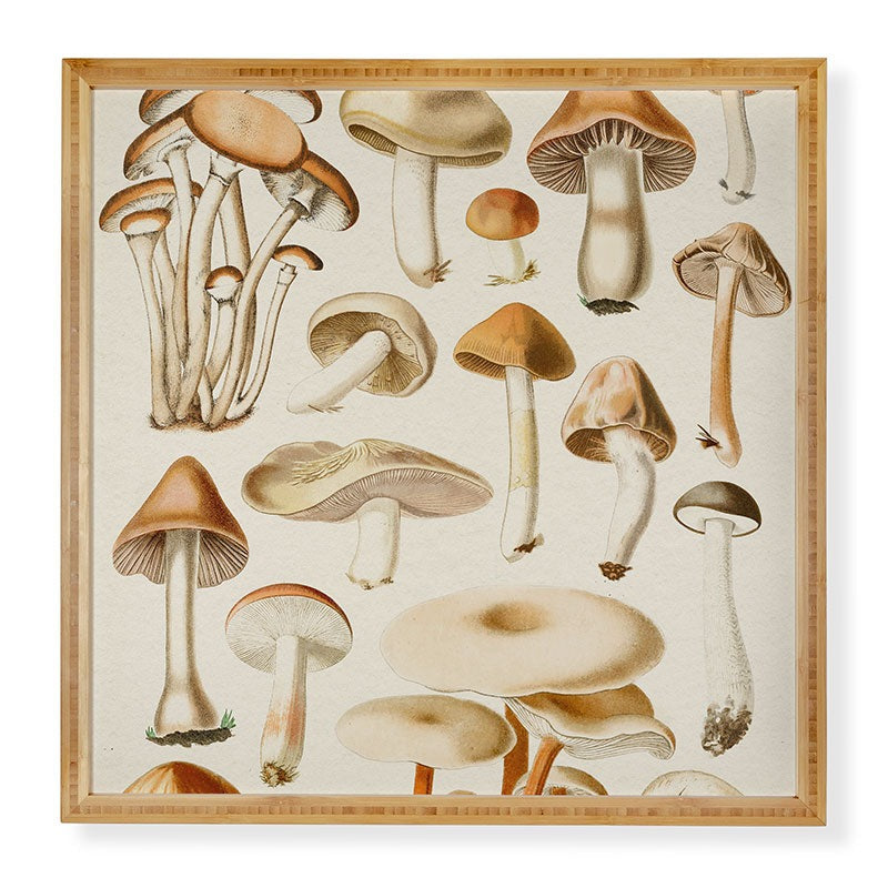 Gal Design Mushrooms Collection Framed Wall Art