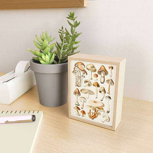 Gal Design Mushrooms Collection Framed Mini Art Print