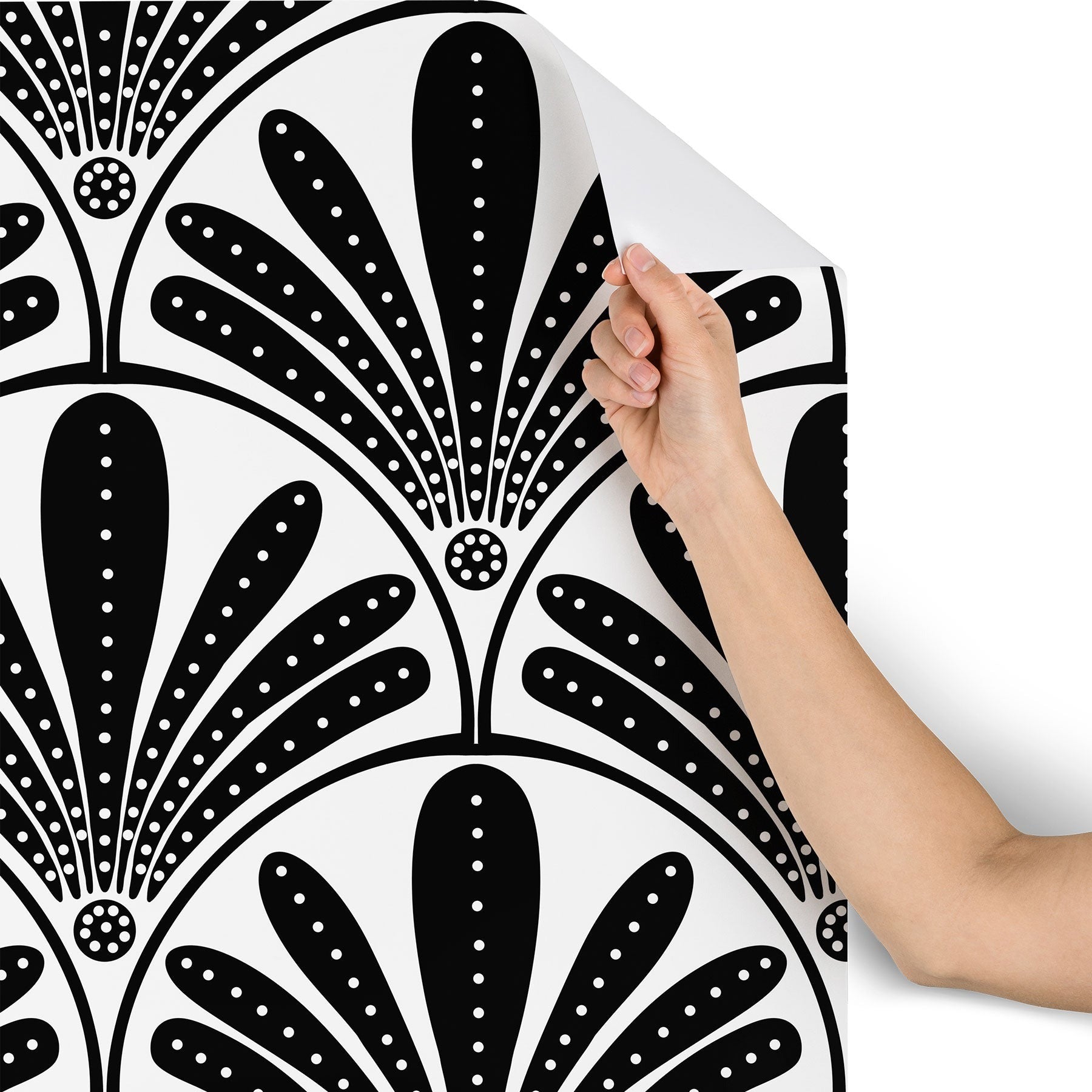 Jennifer Labre Hollywood Glam Wallpaper
