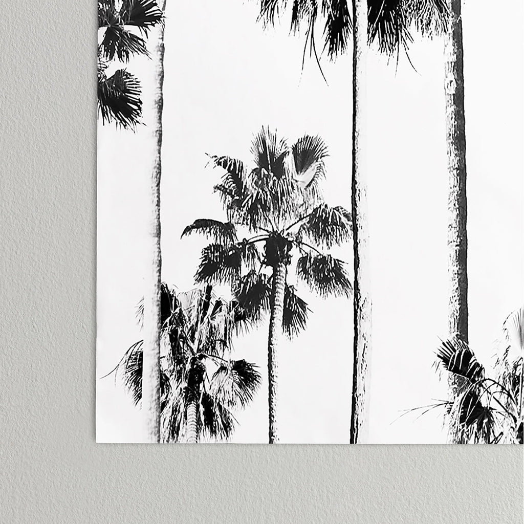 Gal Design Black And White Palms Poster