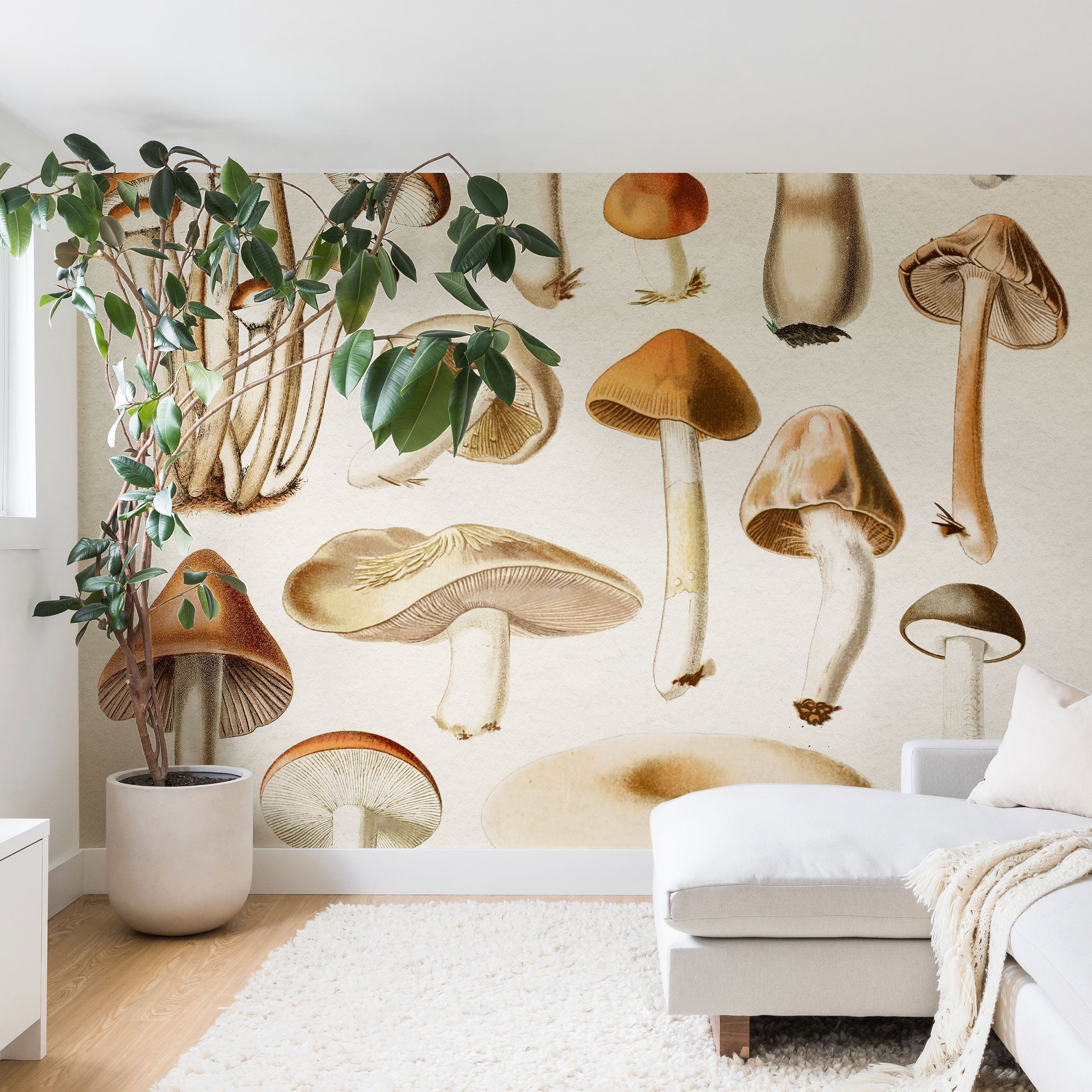 Gal Design Mushrooms Collection Wall Mural