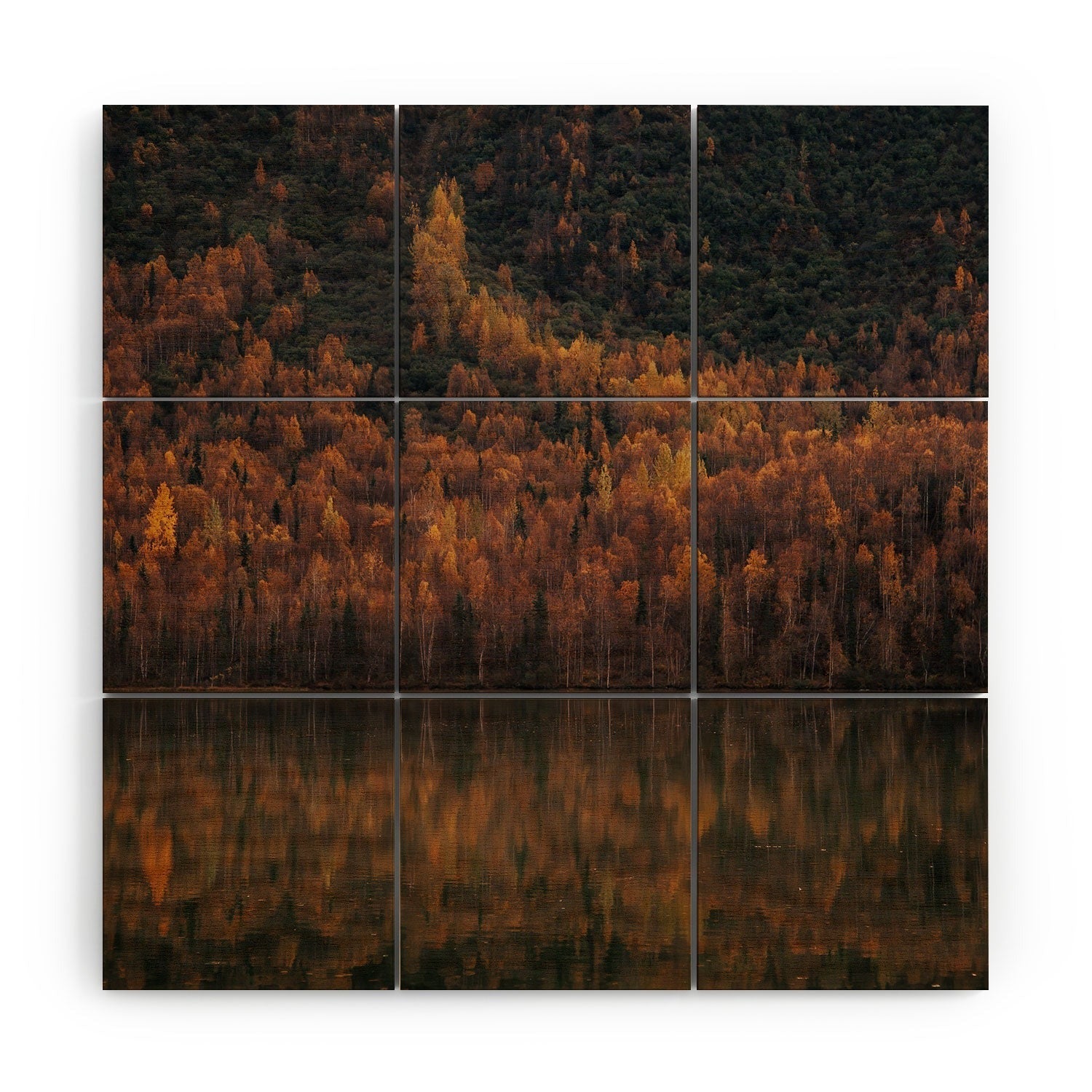 Hannah Kemp Fall Lake Wood Wall Mural