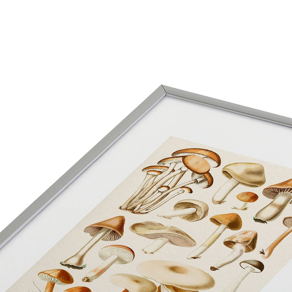 Gal Design Mushrooms Collection Metal Framed Art Print