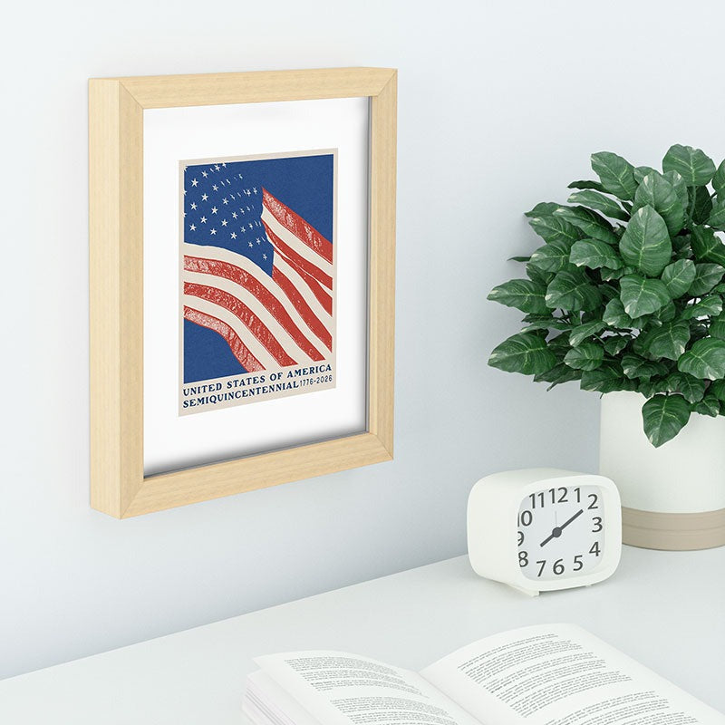 DENY Designs Stars n Stripes Semiquincentennial Recessed Framing Rectangle