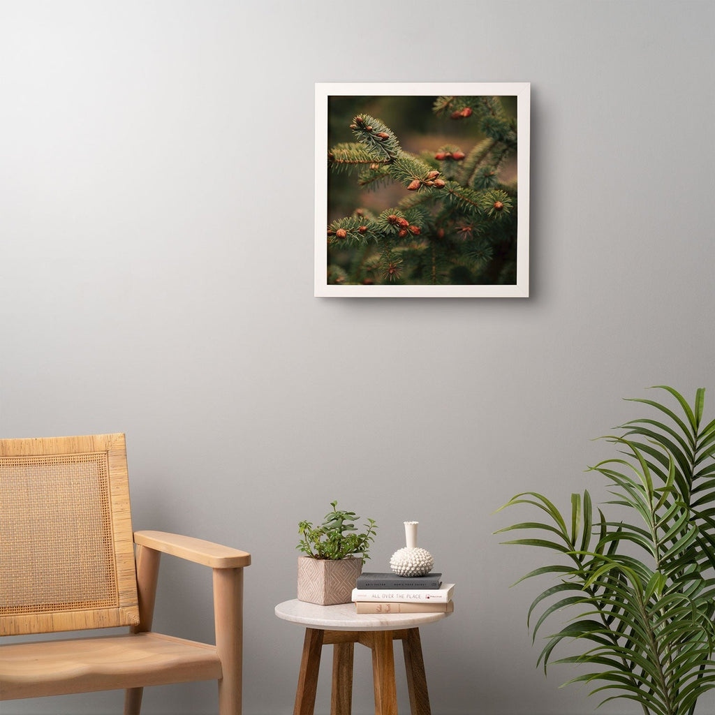 Hannah Kemp Spruce Tips Framed Wall Art