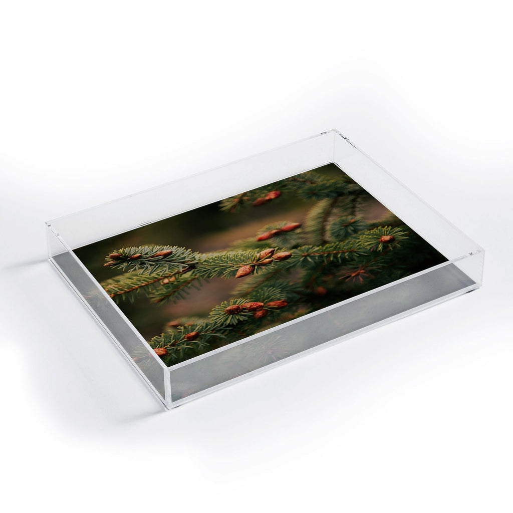 Hannah Kemp Spruce Tips Acrylic Tray