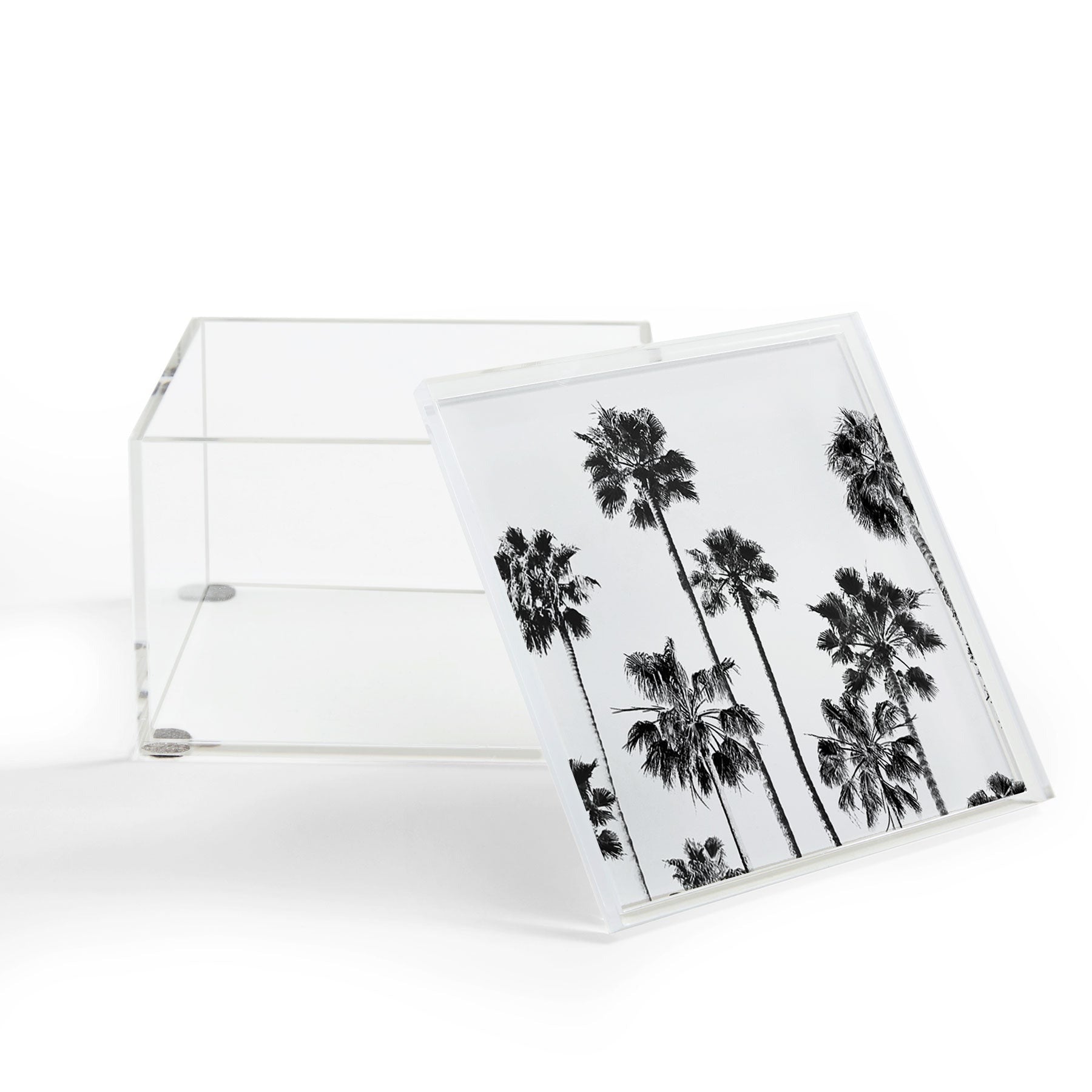 Gal Design Black And White Palms Acrylic Box