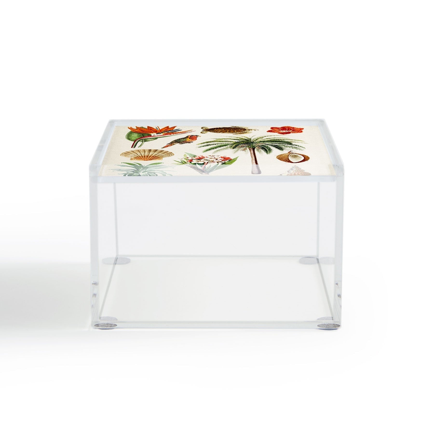 Gal Design Hawaii Collection Acrylic Box