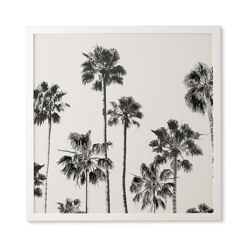 Gal Design Black And White Palms Framed Wall Art