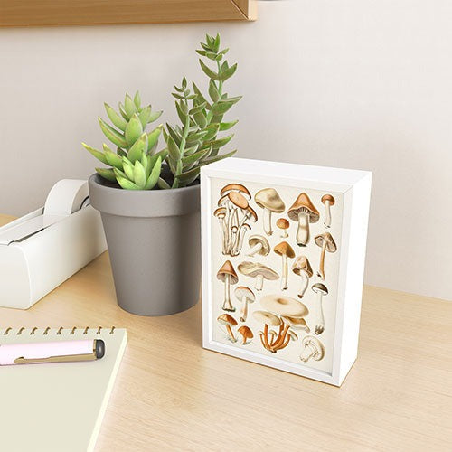 Gal Design Mushrooms Collection Framed Mini Art Print