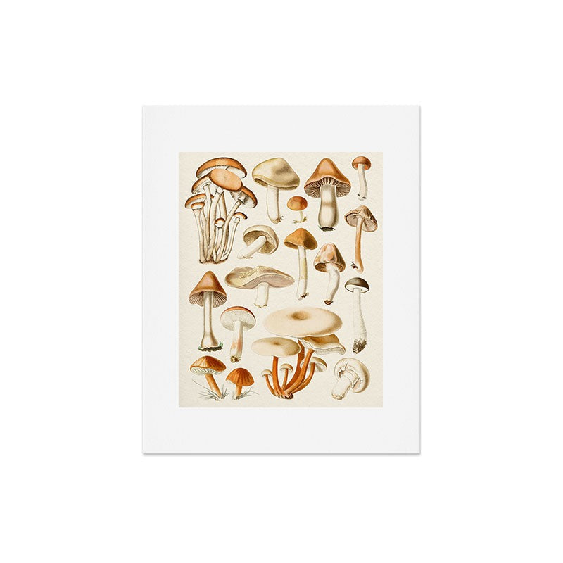 Gal Design Mushrooms Collection Art Print