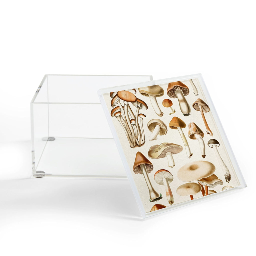 Gal Design Mushrooms Collection Acrylic Box