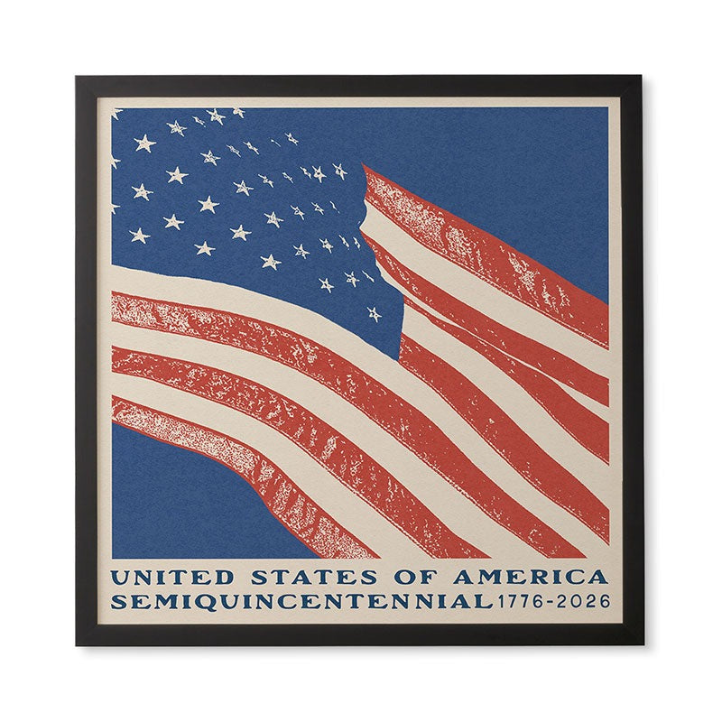 DENY Designs Stars n Stripes Semiquincentennial Framed Wall Art