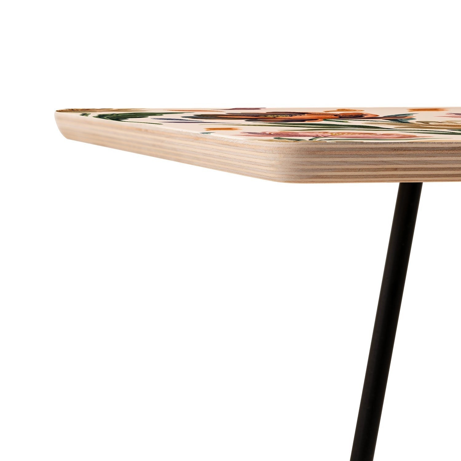 Marta Barragan Camarasa Hand Painted Peony Florals Side Table