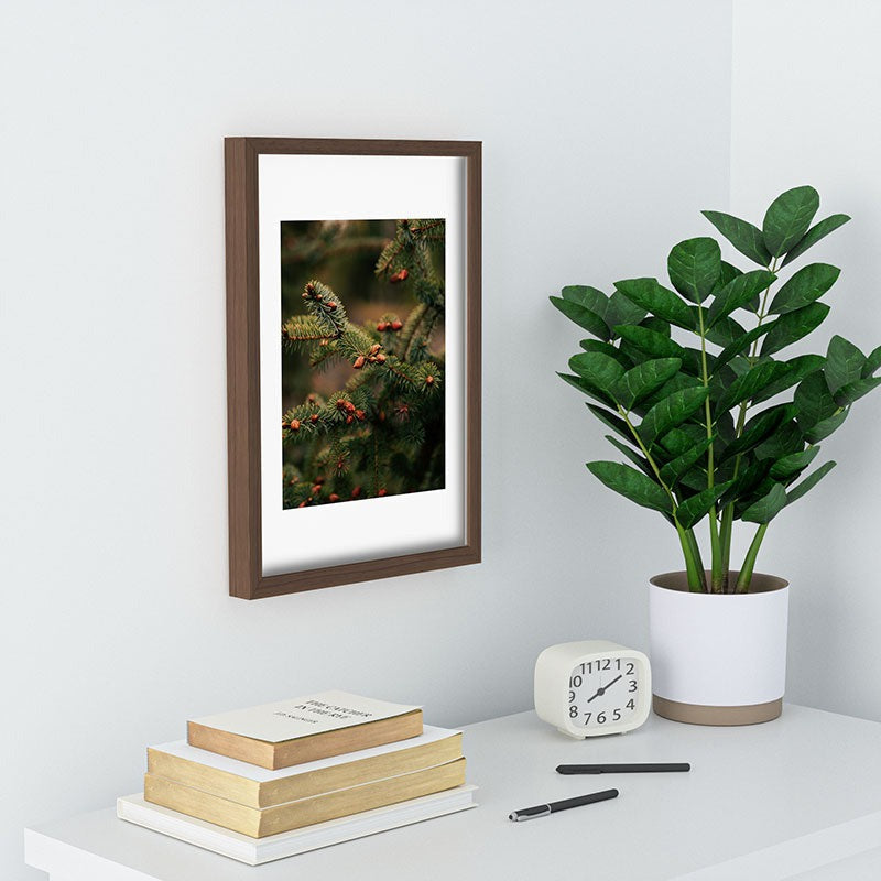 Hannah Kemp Spruce Tips Recessed Framing Rectangle