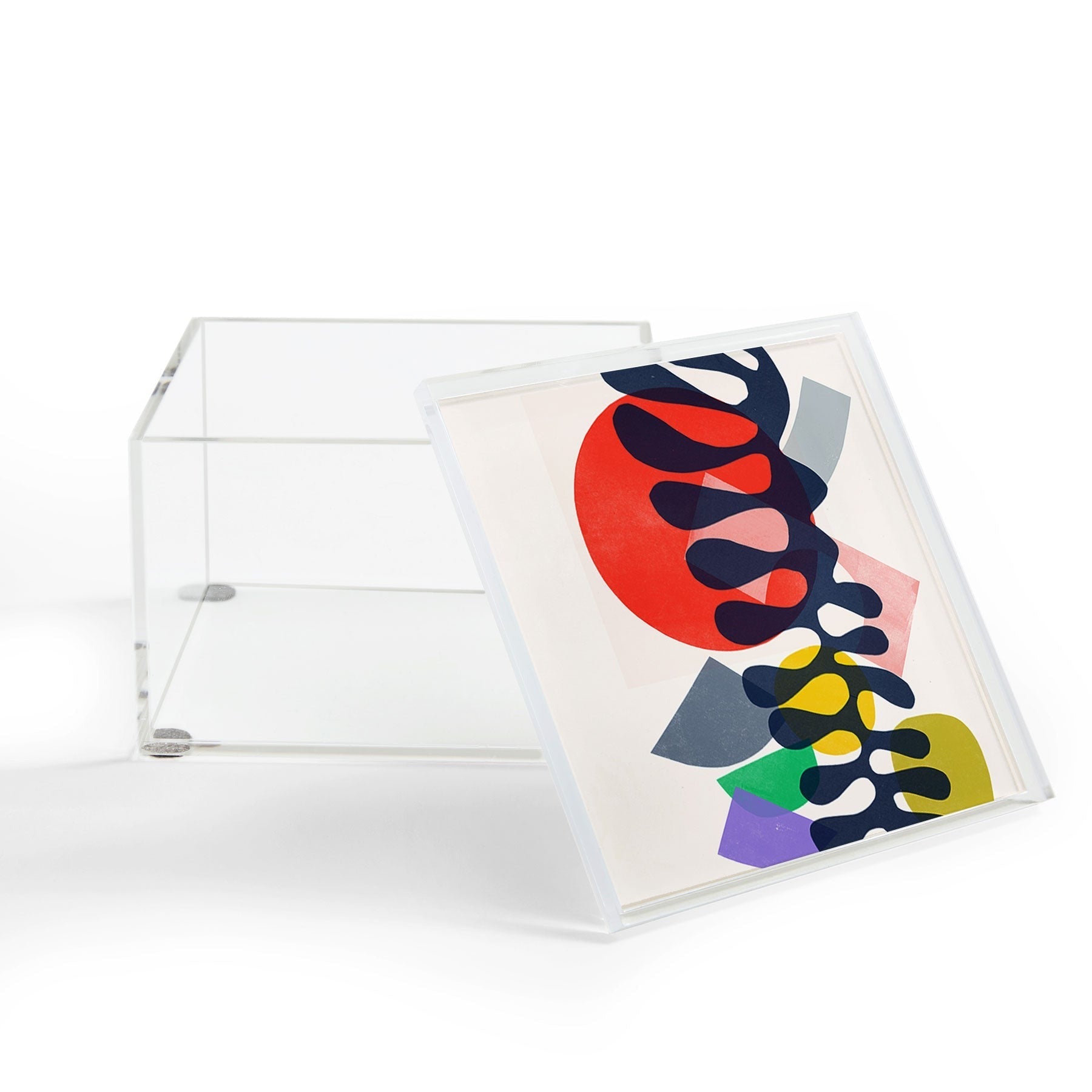 Garima Dhawan growing 1 Acrylic Box