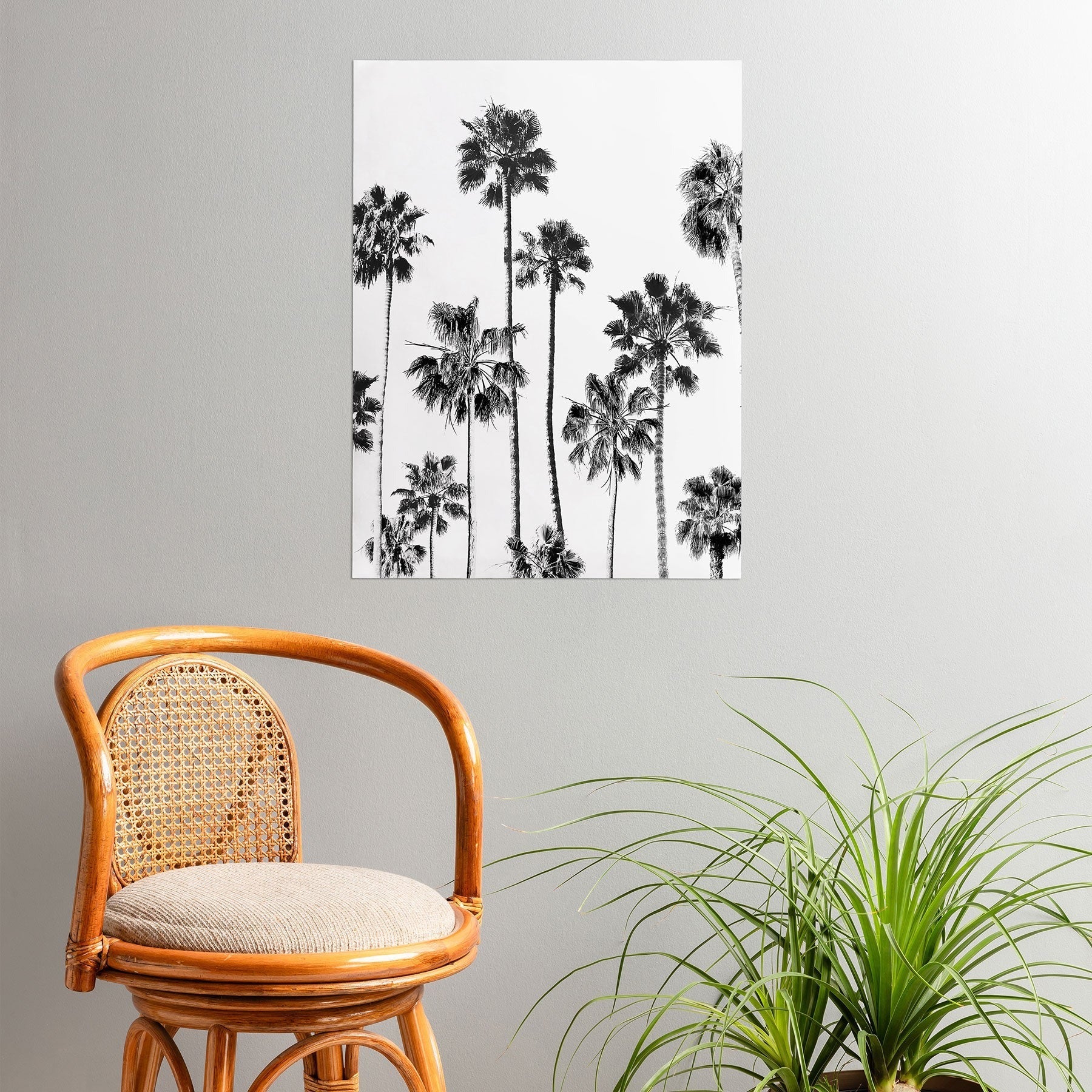 Gal Design Black And White Palms Poster