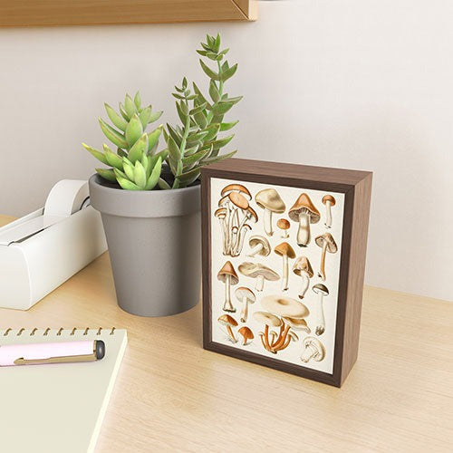Gal Design Mushrooms Collection Framed Mini Art Print