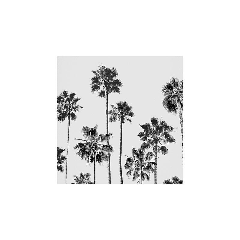 Gal Design Black And White Palms Art Print
