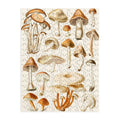 Gal Design Mushrooms Collection Puzzle
