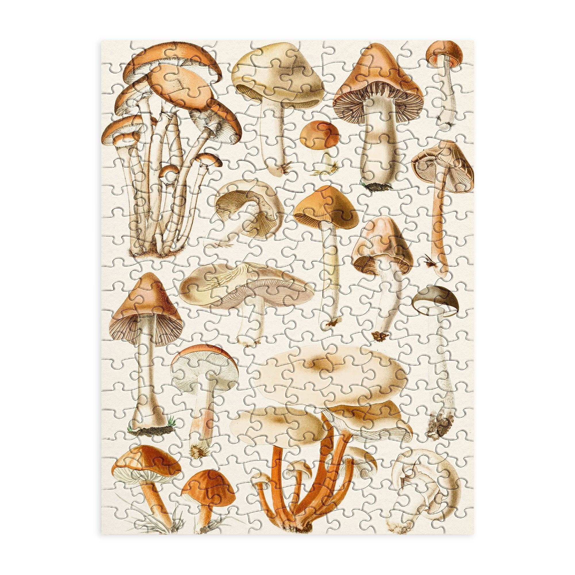 Gal Design Mushrooms Collection Puzzle