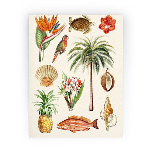 Gal Design Hawaii Collection Mini Art Print