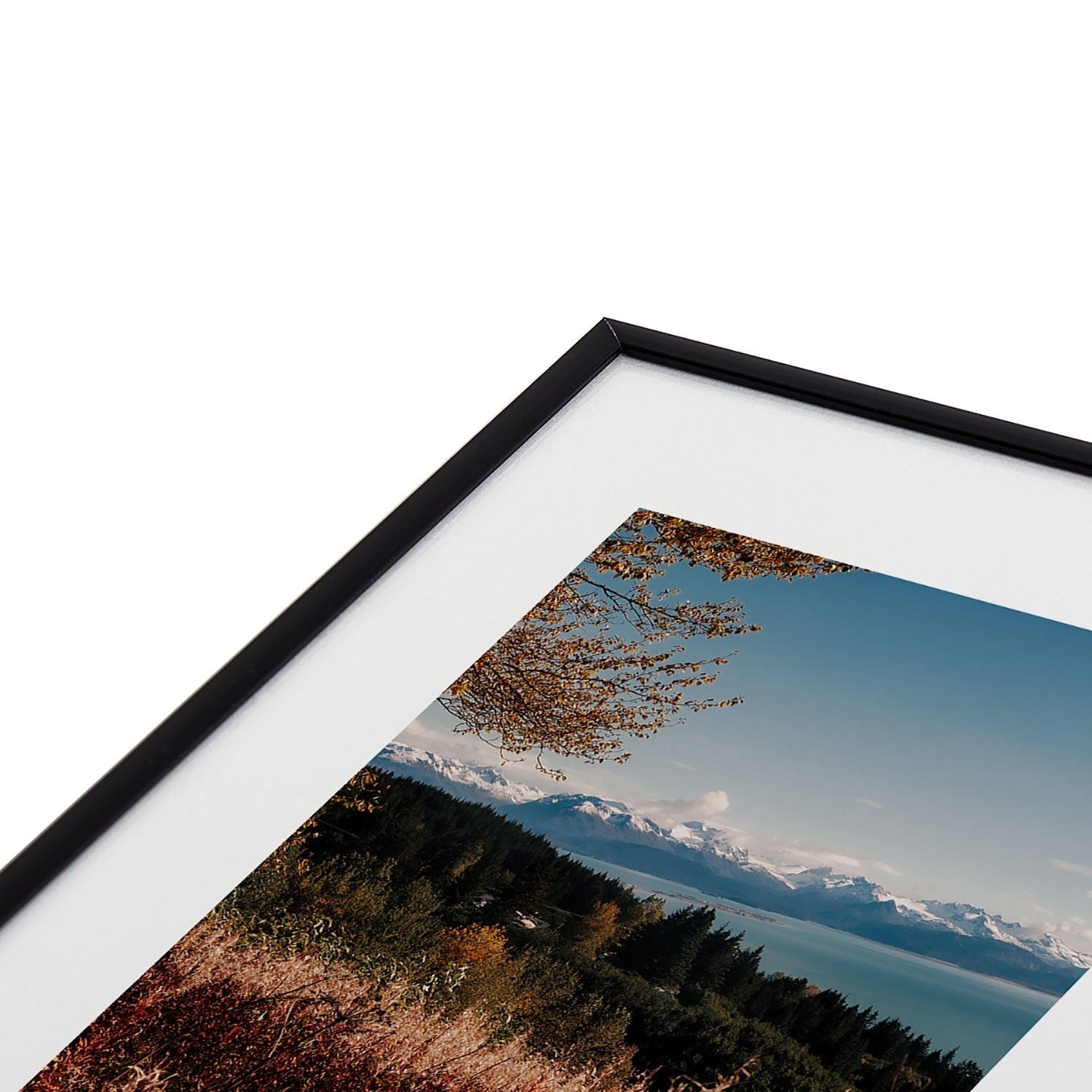 Hannah Kemp Homer Metal Framed Art Print