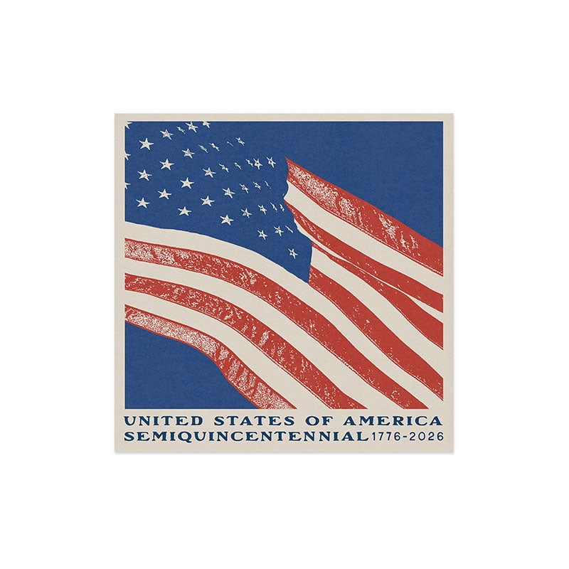DENY Designs Stars n Stripes Semiquincentennial Art Print
