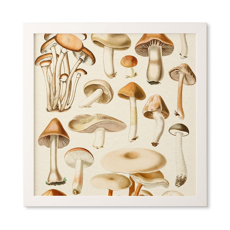 Gal Design Mushrooms Collection Framed Wall Art