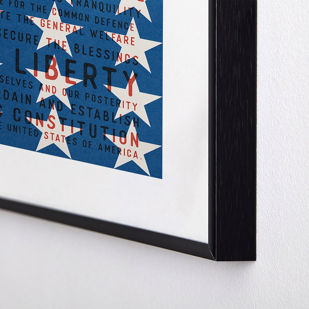 DENY Designs Starred Preamble Metal Framed Art Print