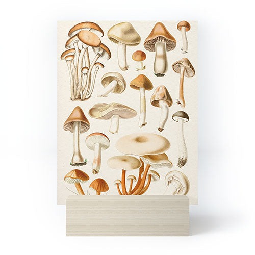 Gal Design Mushrooms Collection Mini Art Print