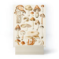 Gal Design Mushrooms Collection Mini Art Print